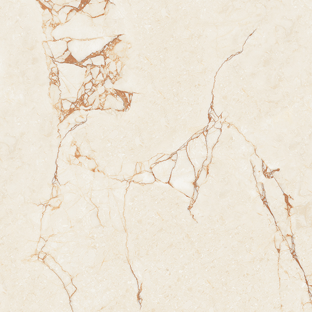 VECTOR MARBLE