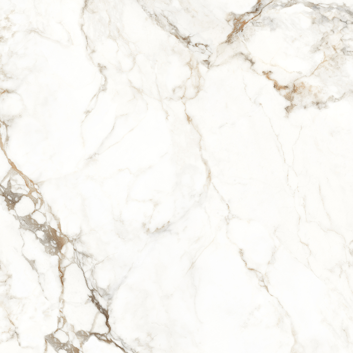 CARPECIA GOLD